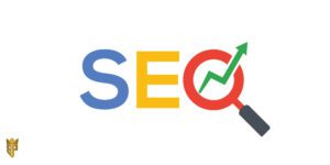 بهینه سازی سایت. انواع سئو.